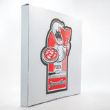 Kutije Za Pizze 100/1